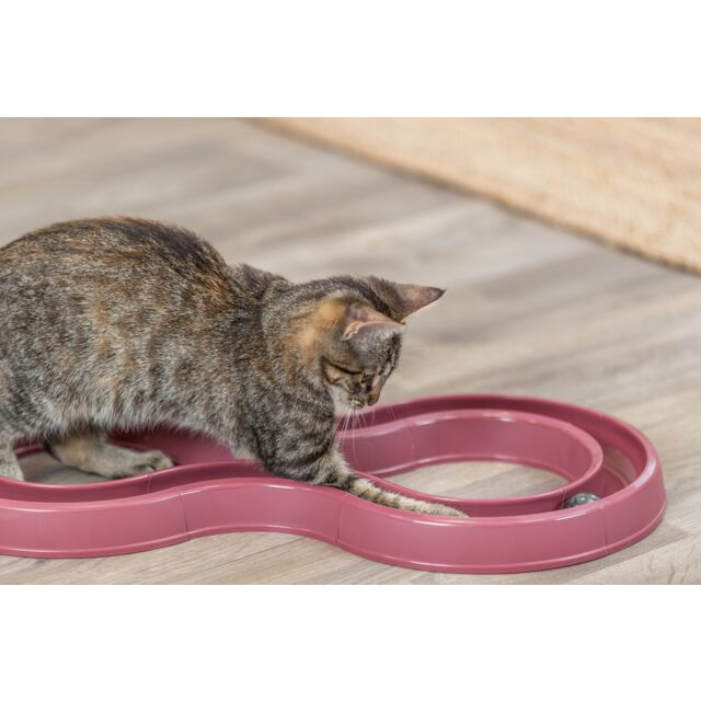 Trixie Flashing Ball Race Cat Toy - Product Image 4