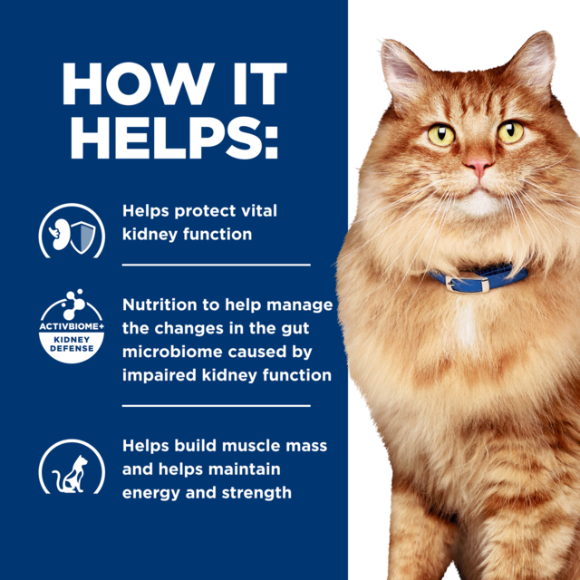 Hill's Prescription Diet k/d j/d Kidney + Mobility Dry Cat Food - Product Image 4