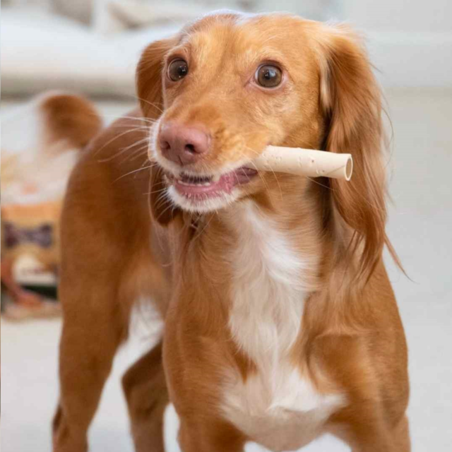 Mak's Patch Mixed Vegetable Twisted Stick Dog Treats - Product Image 2