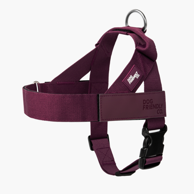 Dog Friendly Co. Premium Dog Harness  - Product Image