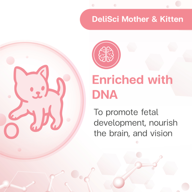 VetSynova DeliSci Mother & Kitten Mousse Wet Cat Food  - Product Image 6