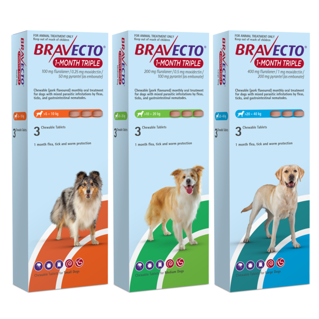 Bravecto 1 Month Triple Flea & Worm Treatment for Dogs - Product Image 1