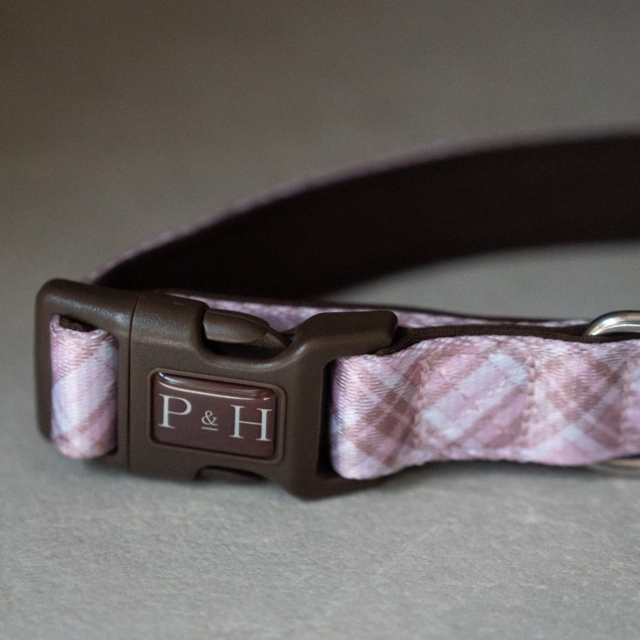 Pointer & Hound Signature Dog Collar - Product Image 12