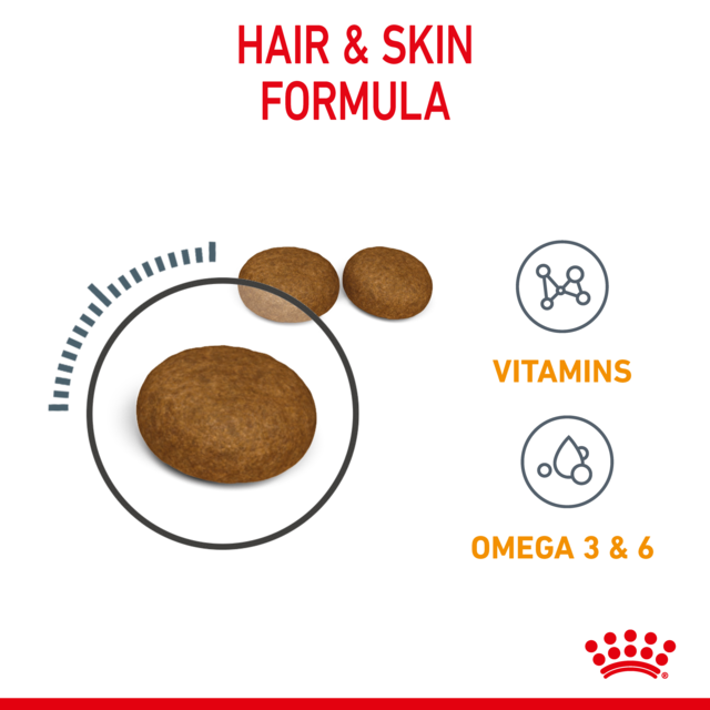 Royal Canin Hair & Skin Care Dry Cat Food - Product Image 3