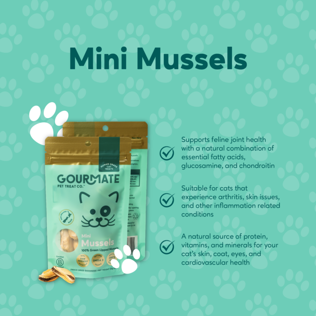 Gourmate Pet Treat Co. Mini Mussels Cat Treats - Product Image 3