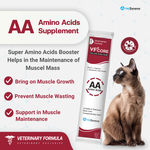 VetSynova VF+ Core AA Amino Acids - Product Image 1