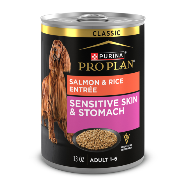 Pro Plan Adult Sensitive Skin & Stomach Salmon & Rice Entree Classic Wet Dog Food - Product Image