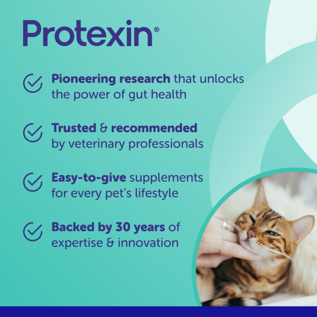 Protexin Veterinary Pro-Kolin+ Paste Gut Health for Cats & Dogs - Product Image 2