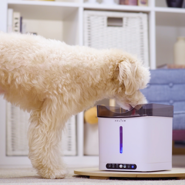 Aclium Cordless Dog Water Fountain - Product Image 2