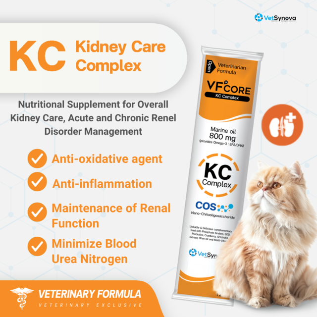 VetSynova VF+ Core KC Kidney Care Complex - Product Image 1