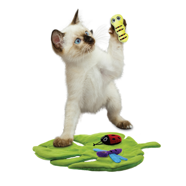KONG Pull-a-Partz Bugz Cat Toy - Product Image 1