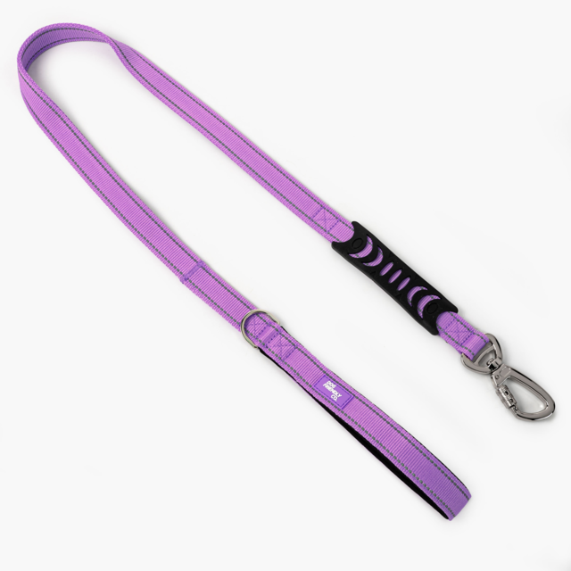 Dog Friendly Co. Original Classic Dog Leash - Product Image