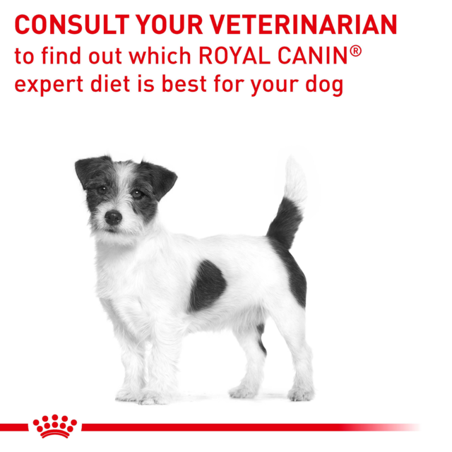 Royal Canin Vet Dental Small Dog Dry Dog Food - Product Image 6