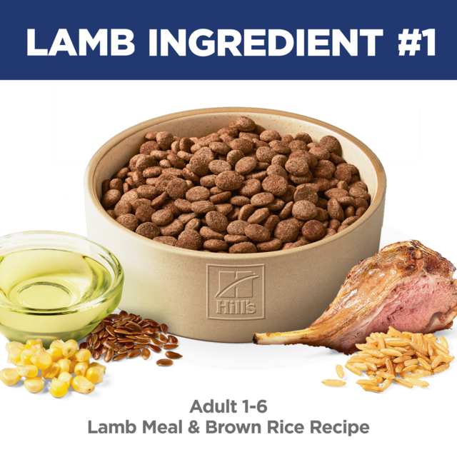 Hill's Science Diet Adult Lamb Meal & Brown Rice Recipe Dry Dog Food - Product Image 3