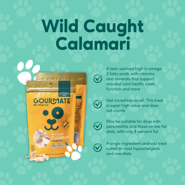 Gourmate Pet Treat Co. Wild Caught Calamari Dog Treats - Product Image 3