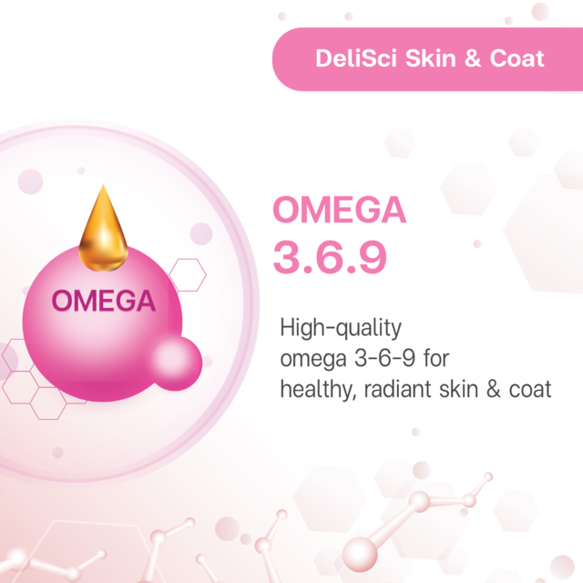 VetSynova DeliSci Skin & Coat Mousse Wet Cat Food - Product Image 4