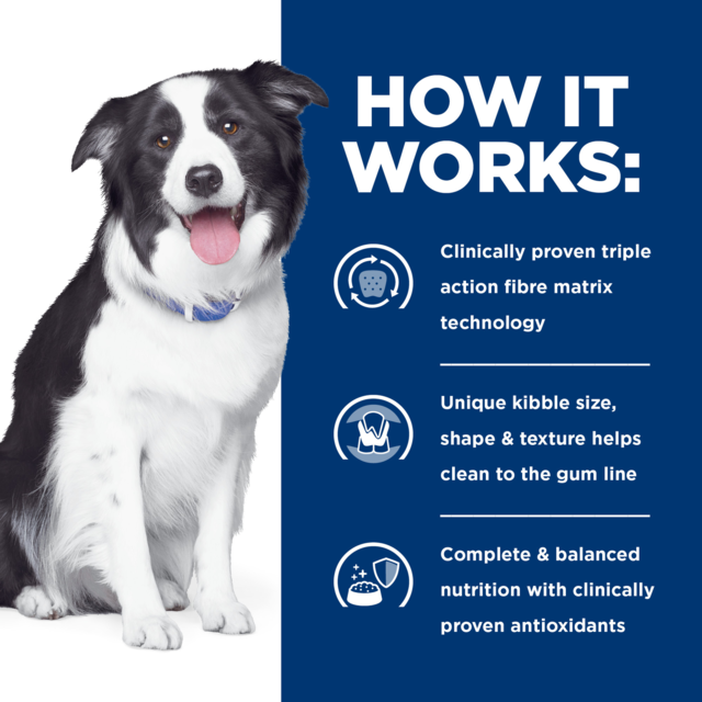 Hill's Prescription Diet t/d Dental Care Dry Dog Food - Product Image 4