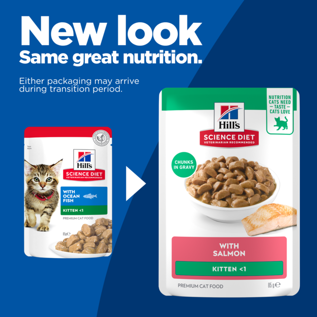 Hill's Science Diet Kitten Salmon in Gravy Wet Cat Food - Product Image