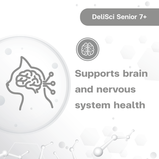 VetSynova DeliSci Senior 7+ Mousse Wet Cat Food - Product Image 4