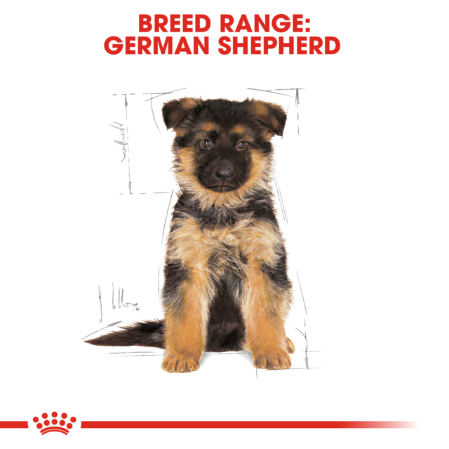 Royal Canin German Shepherd Puppy Dry Dog Food - Product Image 3