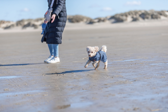 Trixie BE NORDIC Dog Raincoat - Product Image 14