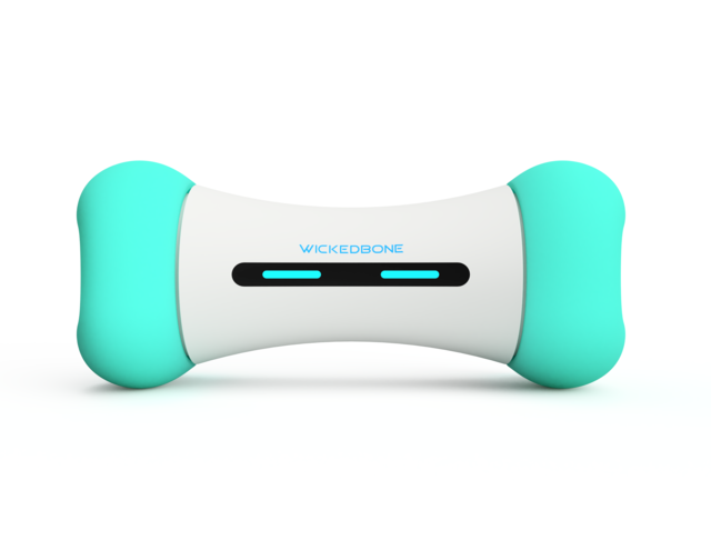 Cheerble Wicked SE Smart Dog Bone Toy Petdirect