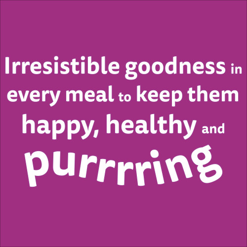 Whiskas Kitten Chicken & Tuna Dry Cat Food - Product Image 11