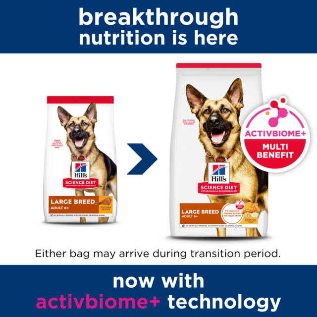 Hill's Science Diet Adult 6+ Large Breed Senior Dry Dog Food - Product Image 1