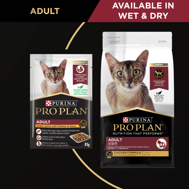Pro Plan Adult Chicken Dry Cat Food Trial Bag - Product Image 4