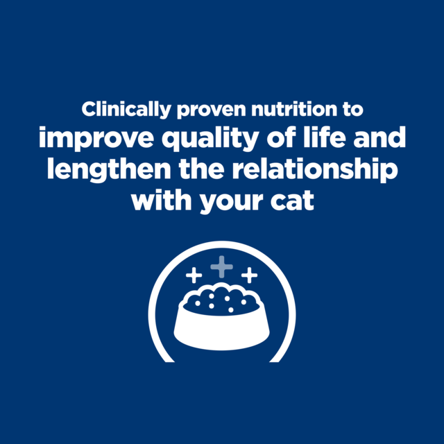 Hill's Prescription Diet k/d j/d Kidney + Mobility Dry Cat Food - Product Image 2