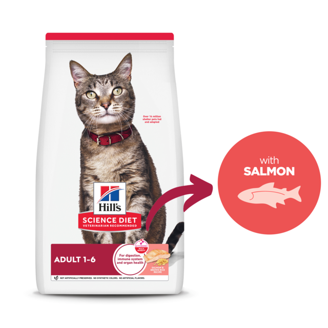 Hill's Science Diet Adult Salmon & Brown Rice Recipe Dry Cat Food - Product Image