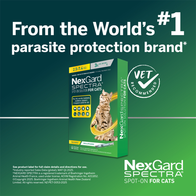 NexGard Spectra Cat Spot-On Flea Tick & Worm Treatment - Product Image 1