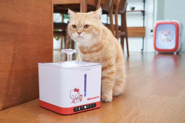 Aclium Hello Kitty Cordless Cat Water Fountain  - Product Image 2