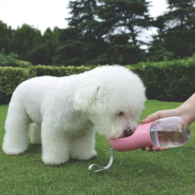 M-PETS On the Road 3-in-1 Dog Utility Travel Bottle - Product Image 12