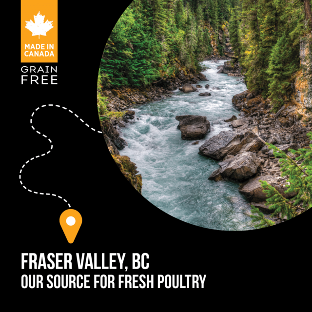 Nutrience SubZero Fraser Valley Large Breed Dry Dog Food - Product Image 2