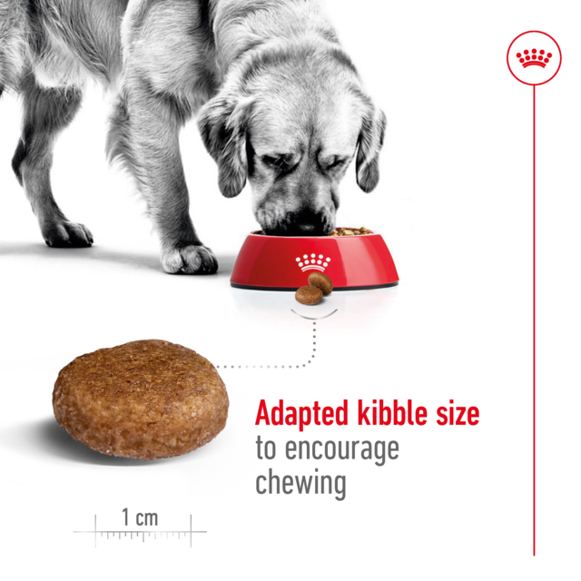 Royal Canin Maxi Adult 5+ Dry Dog Food - Product Image 5