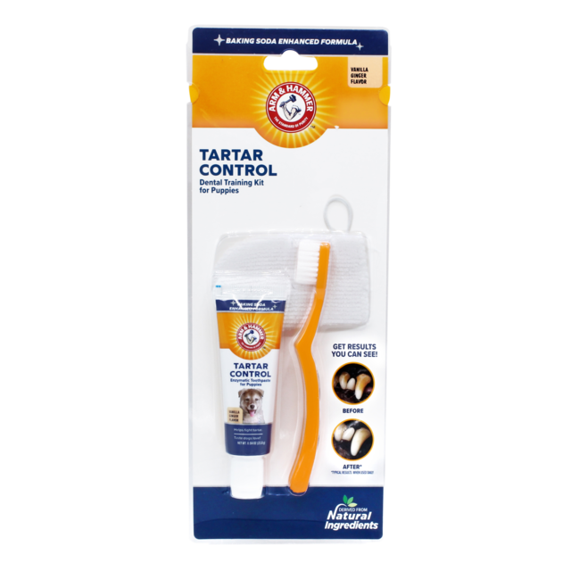 Arm & Hammer Tartar Control Vanilla Ginger Dental Training Kit for Puppies - Product Image