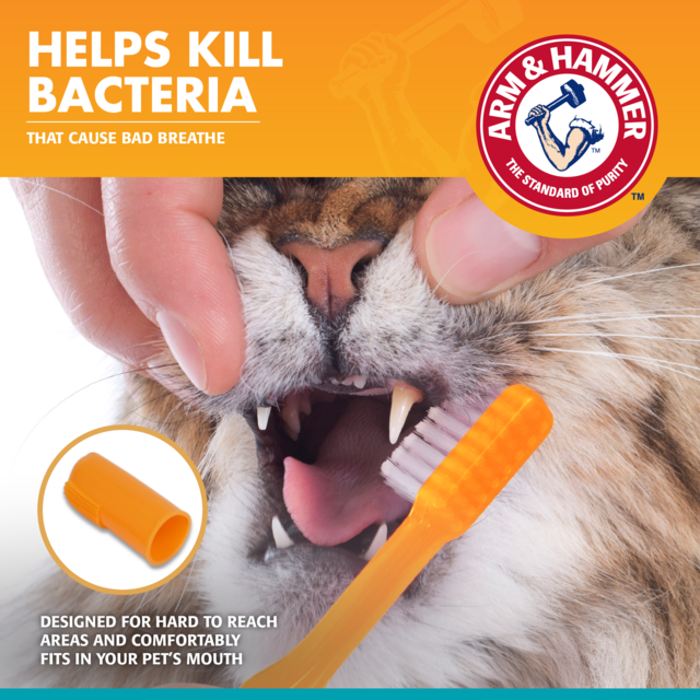 Arm & Hammer Fresh Breath Tuna Dental Kit for Cats - Product Image 4