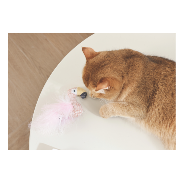 M-PETS Plume Flamigo Cat Toy - Product Image 2