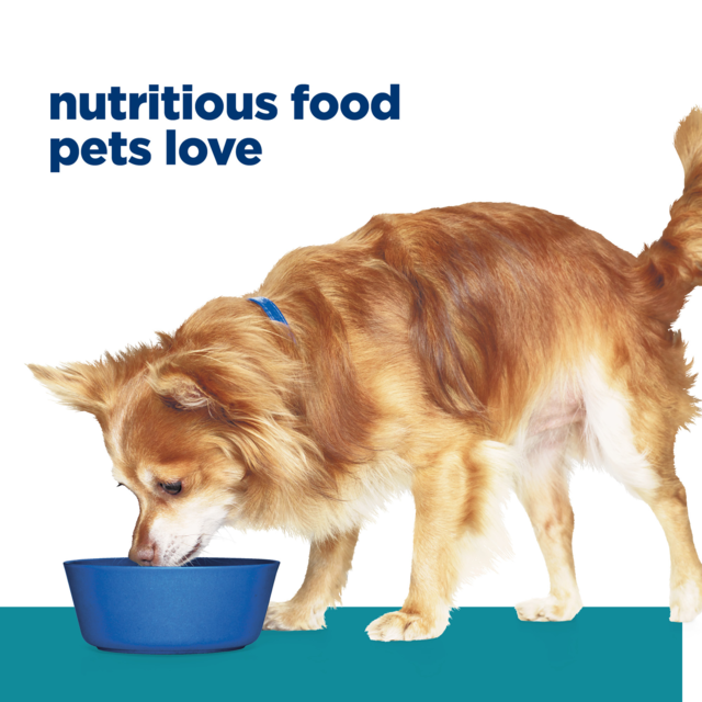 Hill's Prescription Diet t/d Small Bites Dental Care Dry Dog Food - Product Image 7