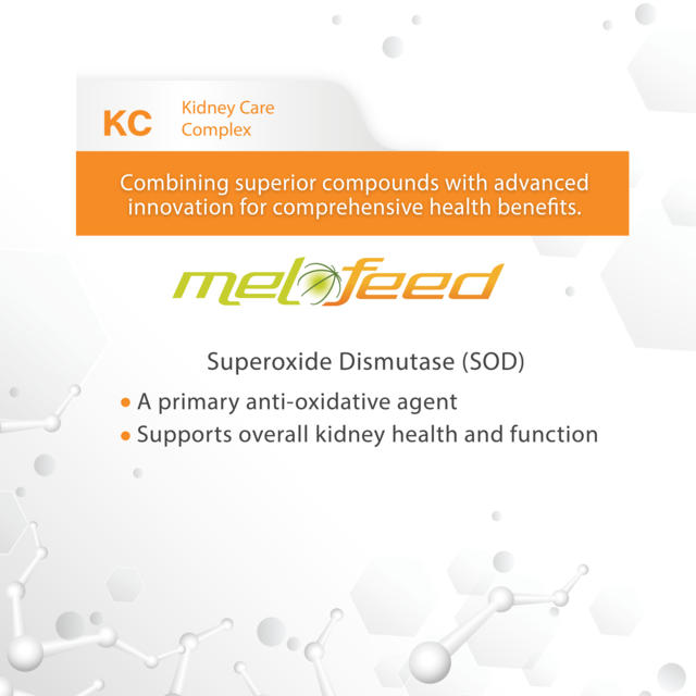 VetSynova VF+ Core KC Kidney Care Complex Cat Supplement - Product Image 3