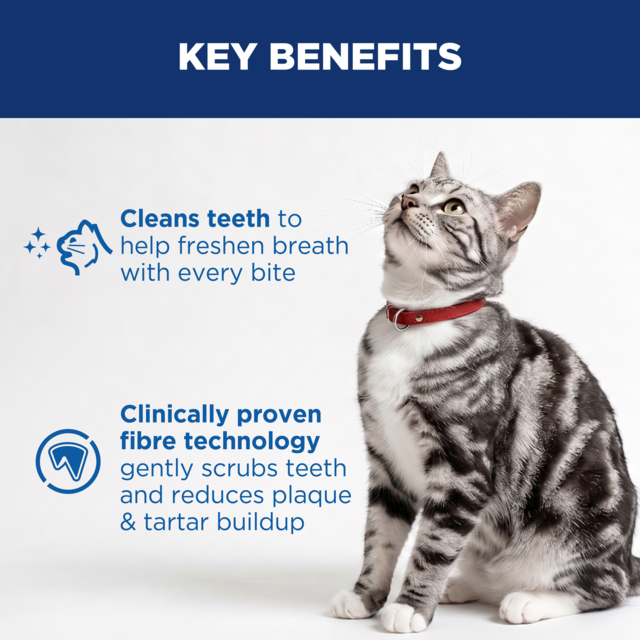 Hill's Science Diet Adult Oral Care Chicken Dry Cat Food - Product Image 5