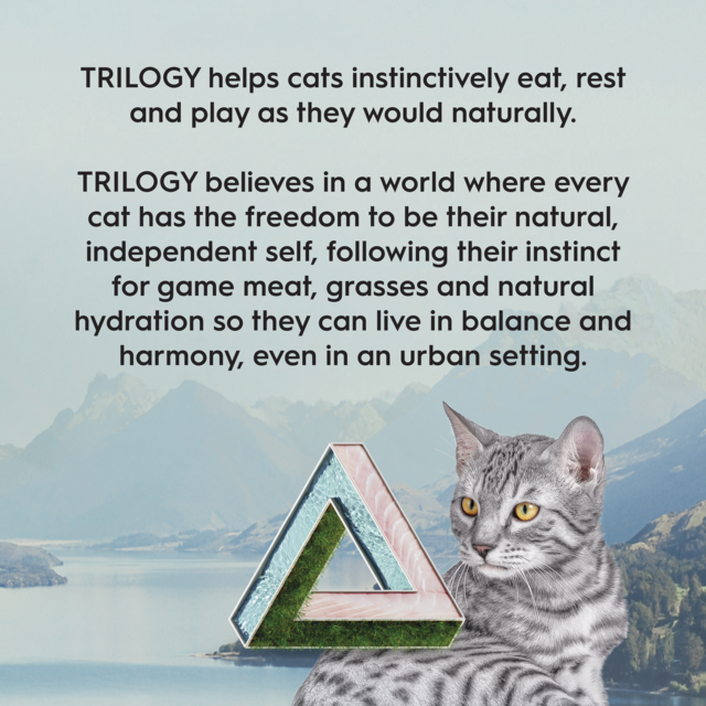 Trilogy Grain Free Barramundi with Tuna & Freeze Dried Lamb Adult Dry Cat Food - Product Image 9