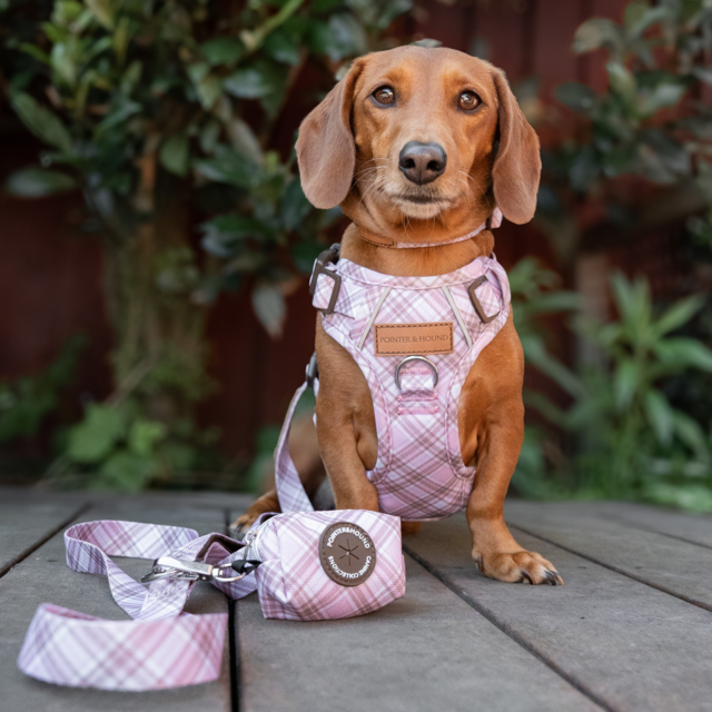 Pointer & Hound Signature Dog Poop Bag Holder - Product Image 7