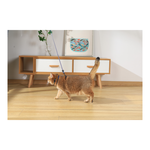 M-PETS Gentle Cat Harness and Leash Set - Product Image 7
