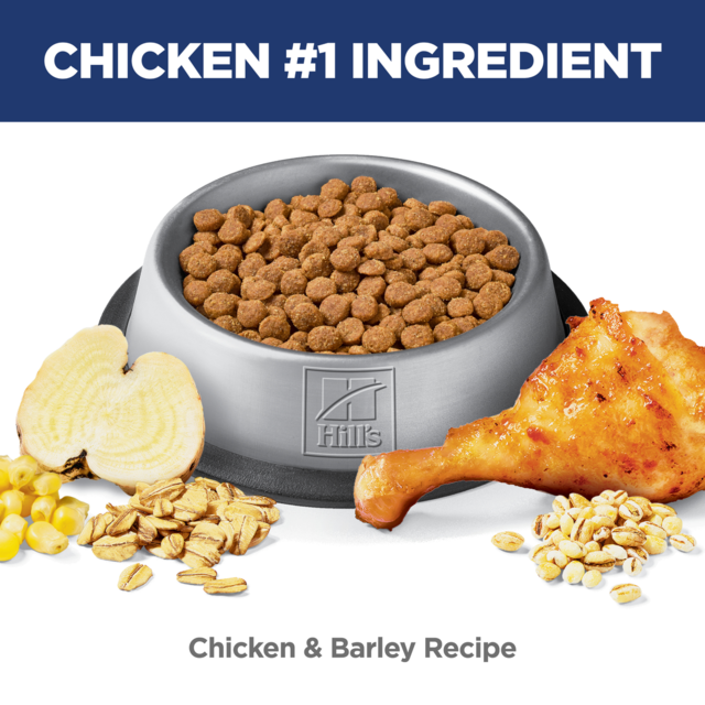 Hill's Science Diet Adult Perfect Digestion Chicken Dry Cat Food - Product Image 6