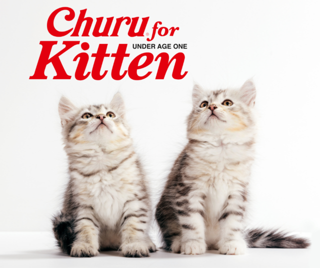 Inaba Churu Kitten Tuna & Chicken Varieties Box Cat Treats - Product Image 2