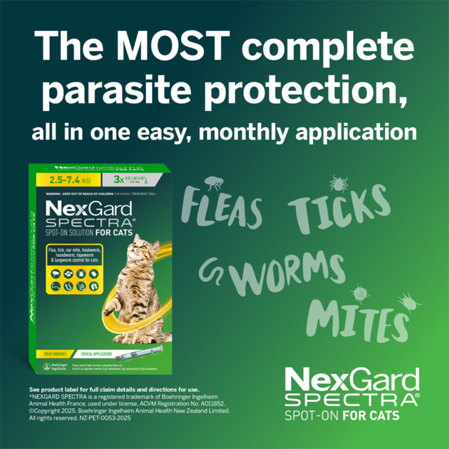 NexGard Spectra Cat Spot-On Flea Tick & Worm Treatment - Product Image 2