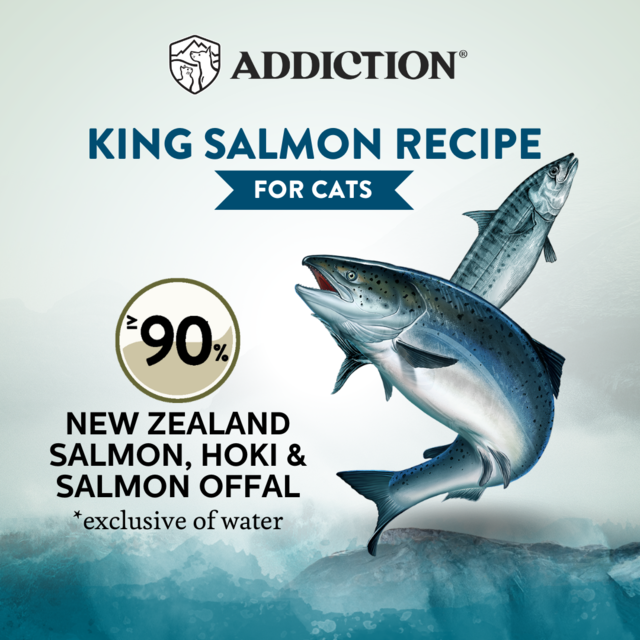 Addiction Wild Islands King Salmon Grain-Free Wet Cat Food - Product Image 2