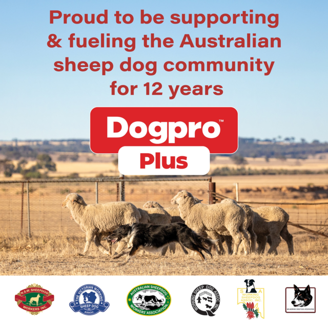 Dogpro Plus Adult Beef Dry Dog Food - Product Image 1